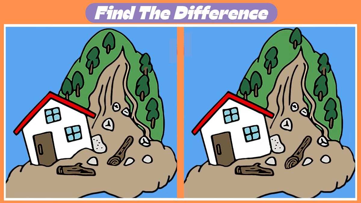 Spot the 3 Differences in 38 Seconds in This Landslide Scene