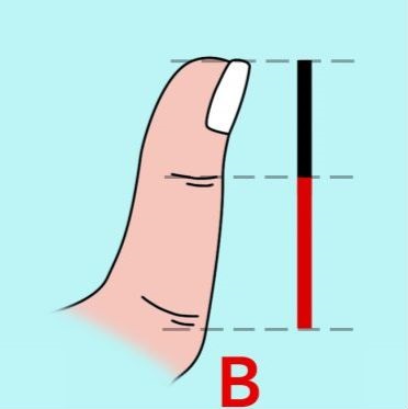 What Does Your Thumb Size Say About Your Personality