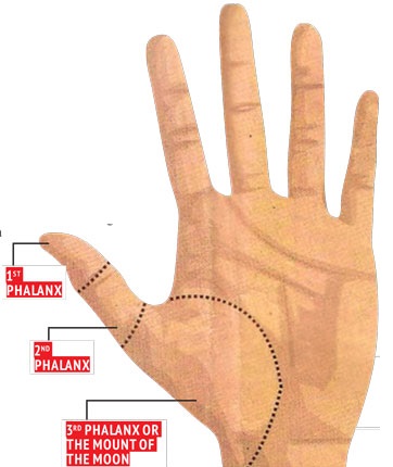 thumb parts thumb size personality test