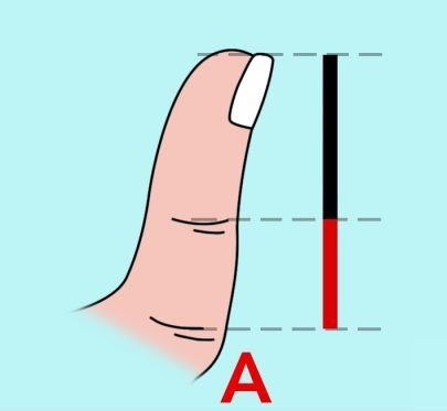 What Does Your Thumb Size Say About Your Personality