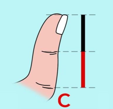 What Does Your Thumb Size Say About Your Personality
