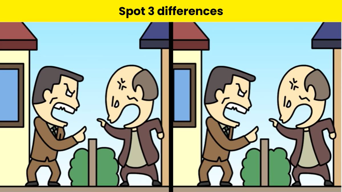 You have amazing eyes if you can spot 3 differences between the fighting neighbours picture in 15 seconds. 
