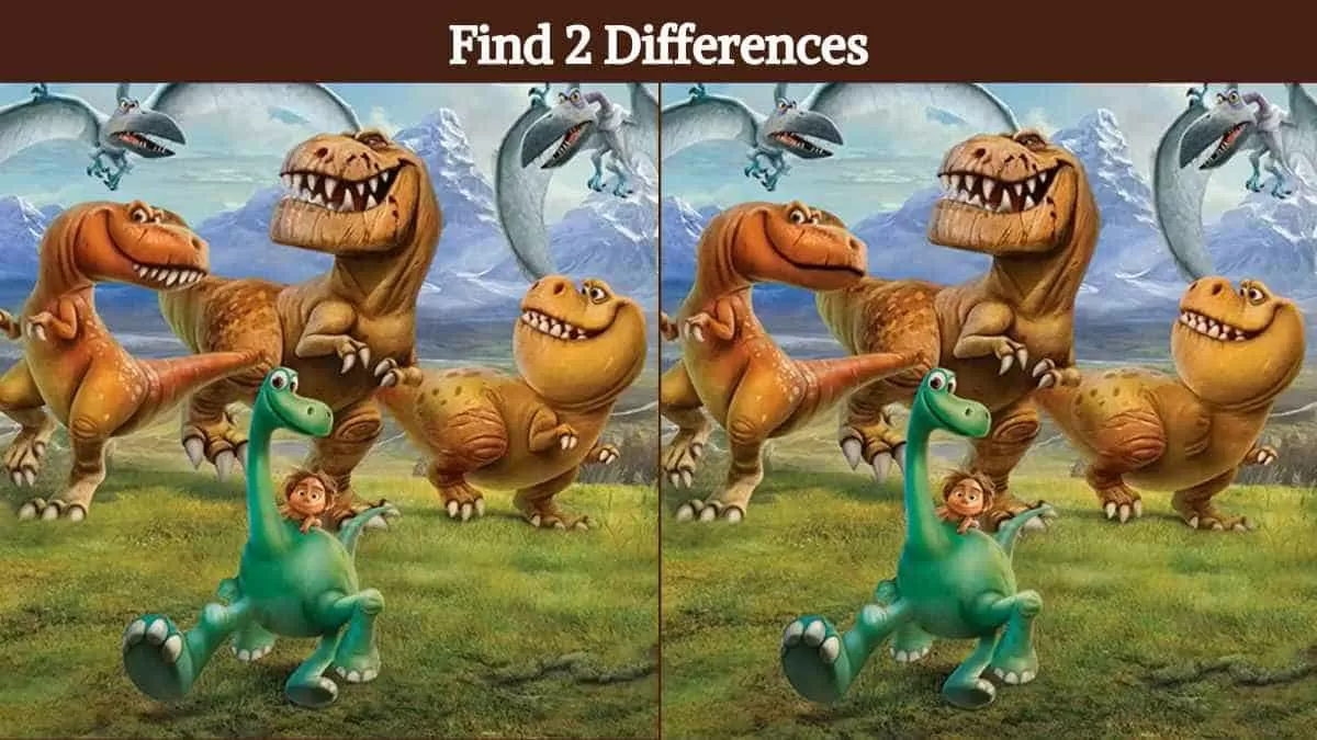 Find 2 differences in 9 seconds
