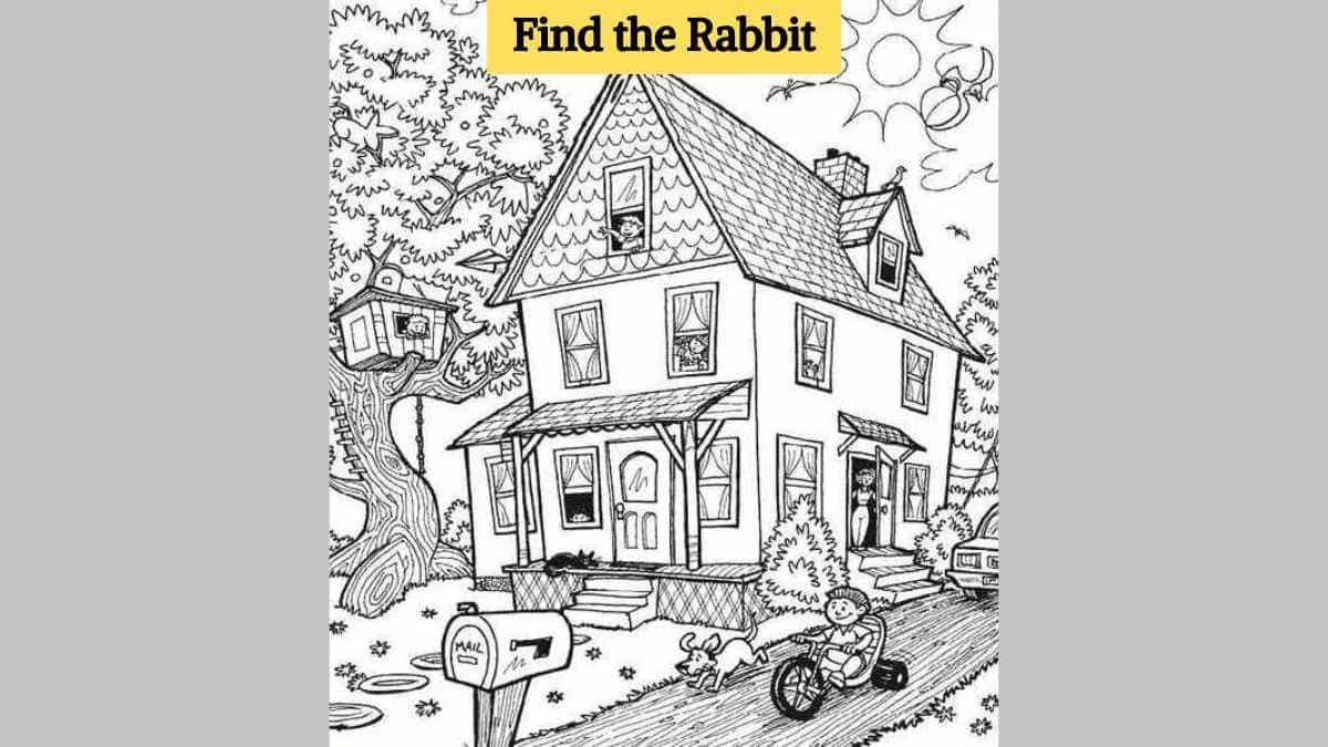 Seek and Find: Test your eye power by finding a rabbit in the picture in 8 seconds!