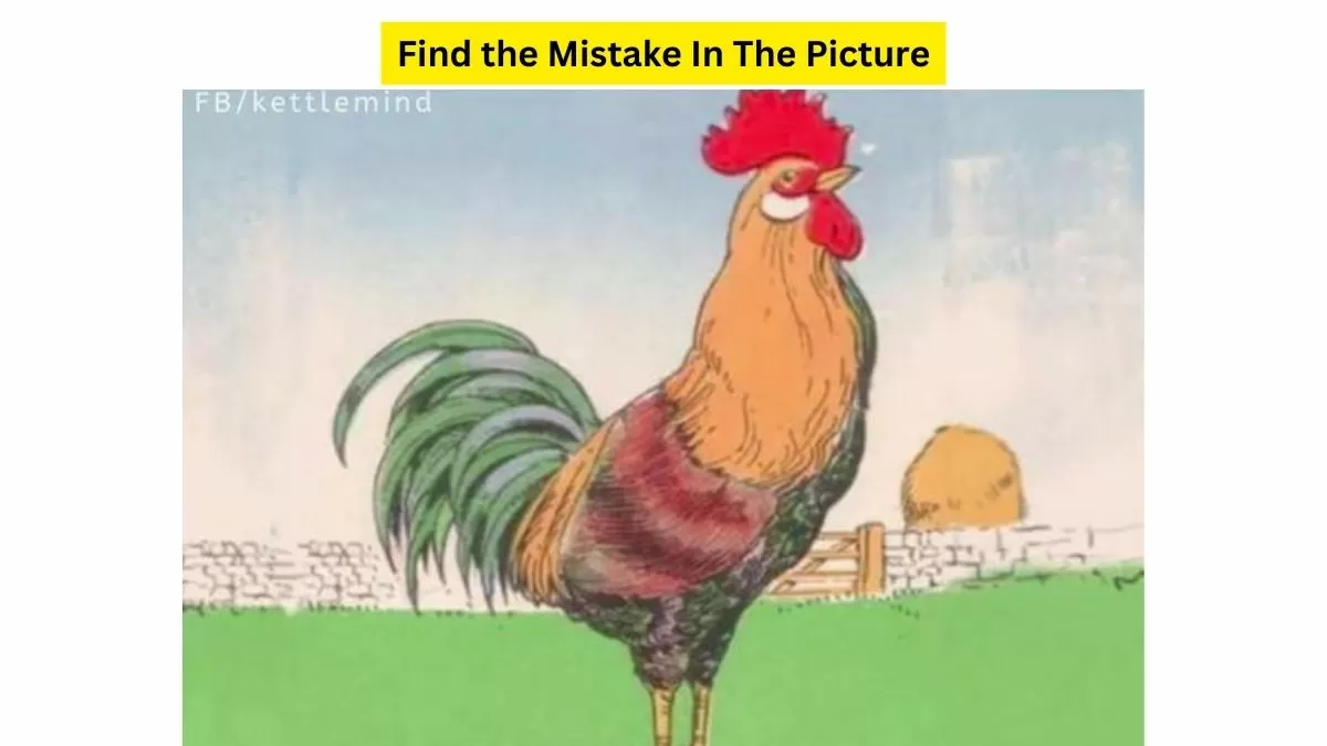 Find The Fault!