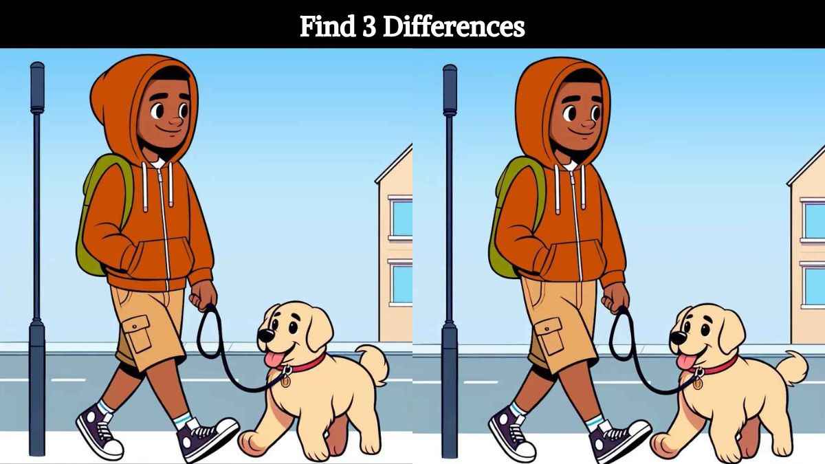 Find 3 differences between the boy and his dog pictures in 13 seconds!