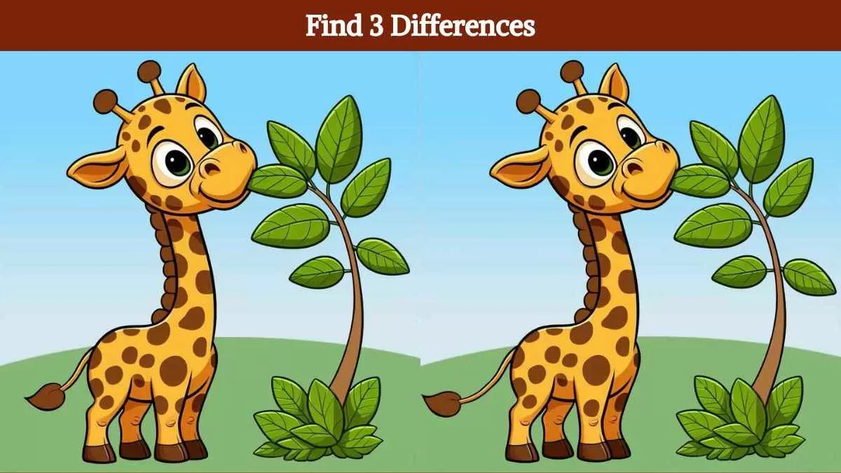 Find 3 differences in 15 seconds