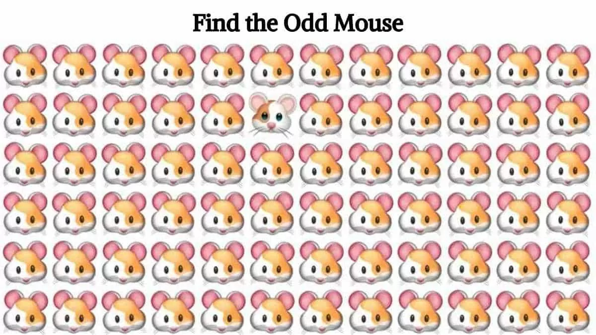 Find the odd mouse
