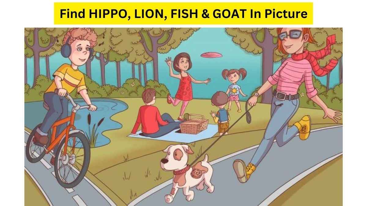 Hippo, Lion, Goat & Fish! Can You Find All The Hidden Animals In The