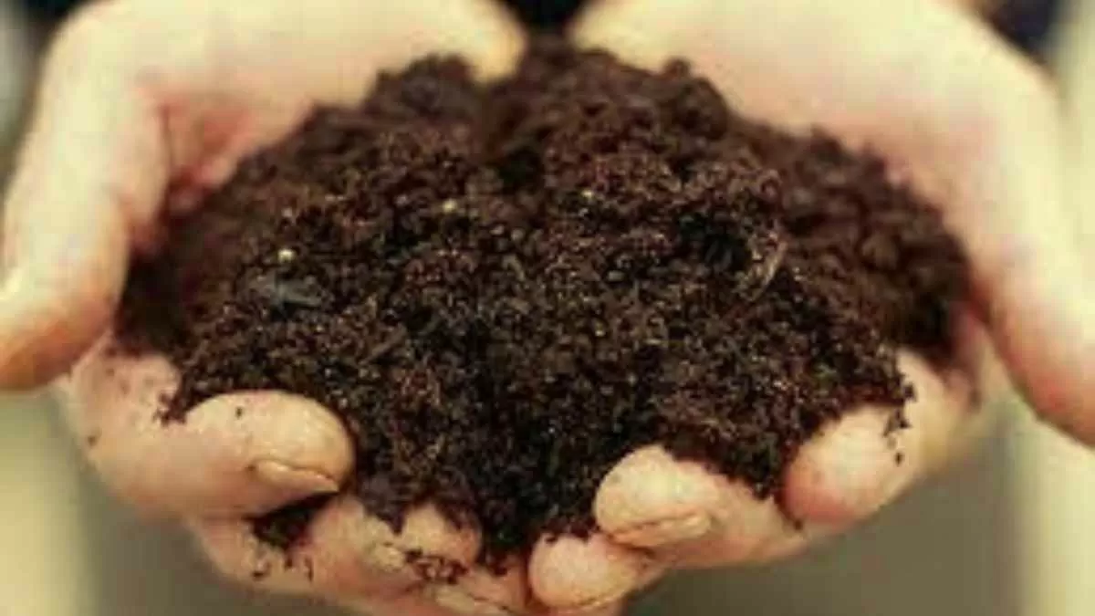 GK Quiz on Soil: Can you guess the soil type based on its characteristics? We doubt!