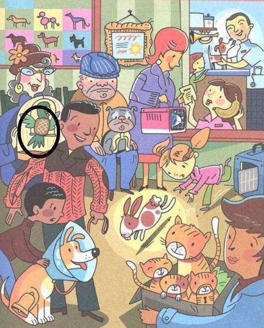 picture puzzles with answers