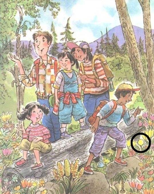 picture puzzles with answers