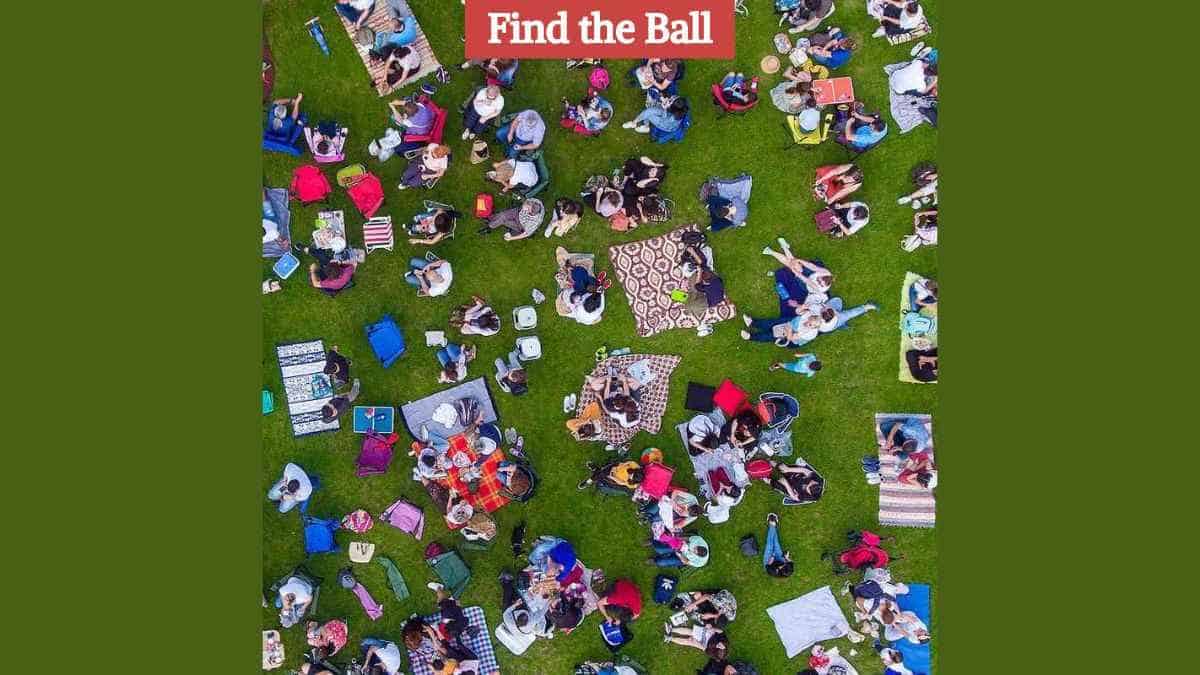 Optical Illusion Eye Test: Find the ball in the picnic scene in 6 seconds!