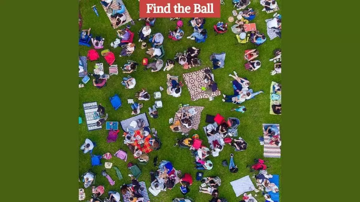 Find the ball