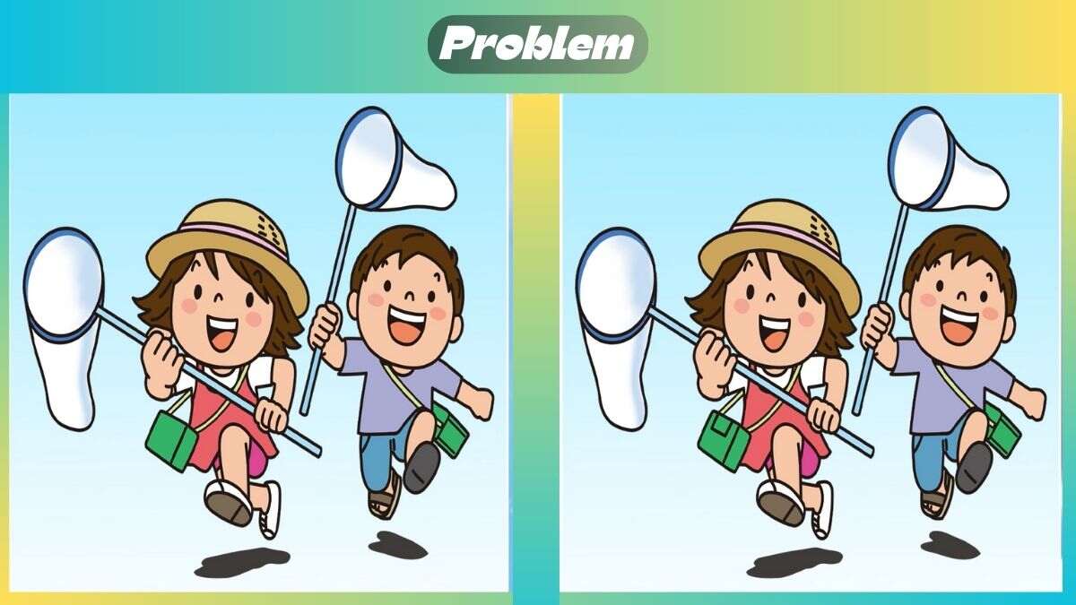 Find 3 Differences In 33 Seconds In Insect Catching Scene