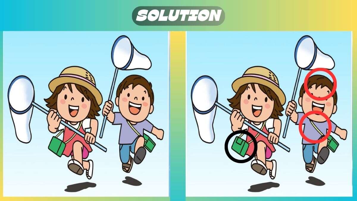 Find 3 Differences In 33 Seconds In Insect Catching Scene