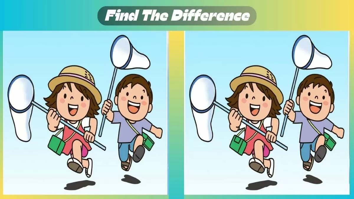 Find 3 Differences In 33 Seconds In Insect Catching Scene