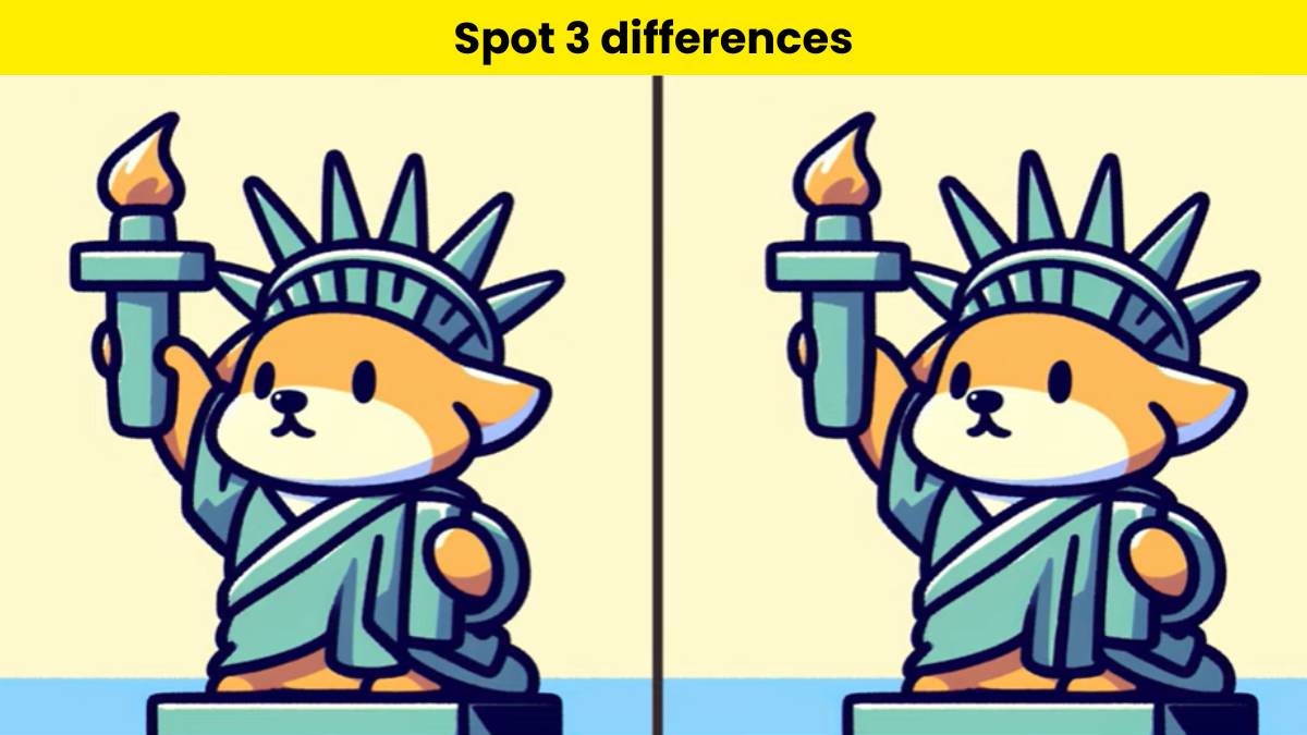 Can you spot 3 differences between the statue of corgi pictures in 12 seconds?