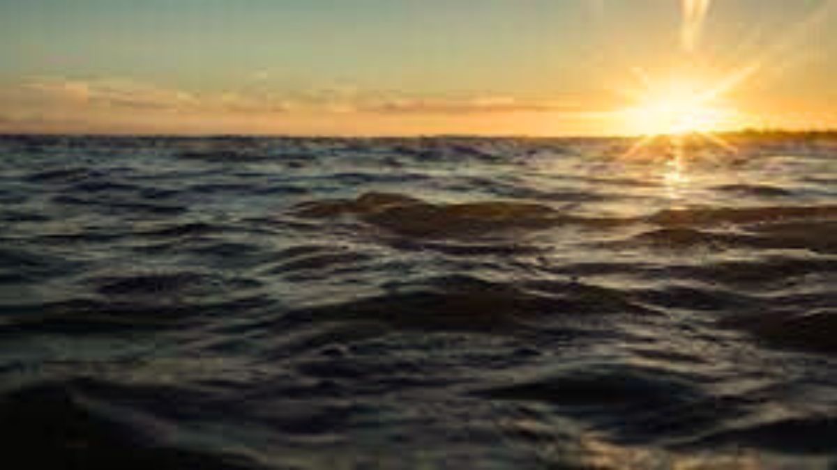 GK Quiz: How well do you know the oceans and seas of the world? Let's dive deeper!
