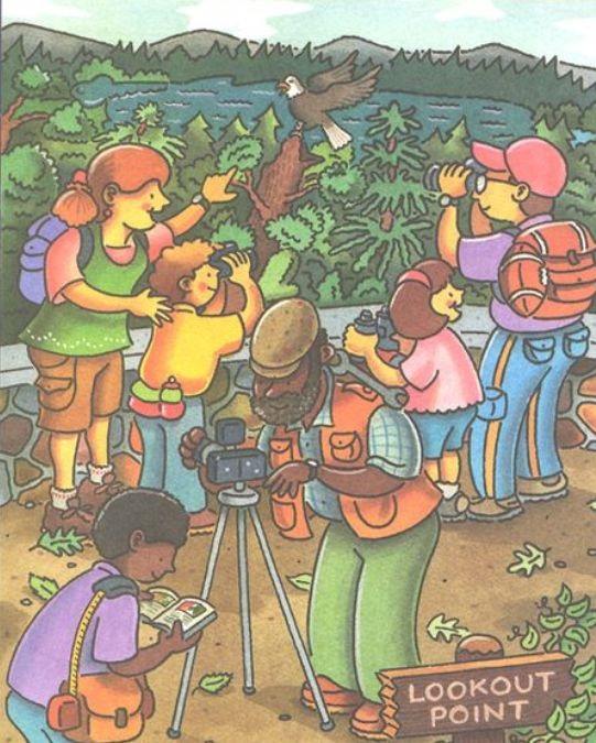 picture puzzles find hidden objects