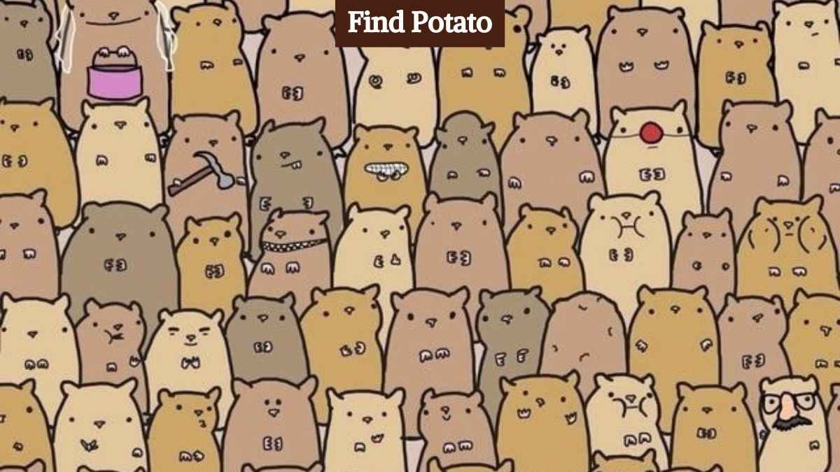 Optical Illusion Challenge: Find the hidden potato among hamsters in 7 seconds!