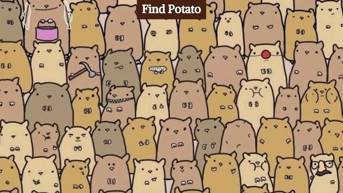 Find potato among hamsters