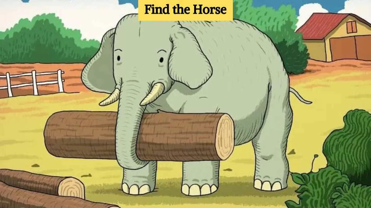 Find the hidden horse