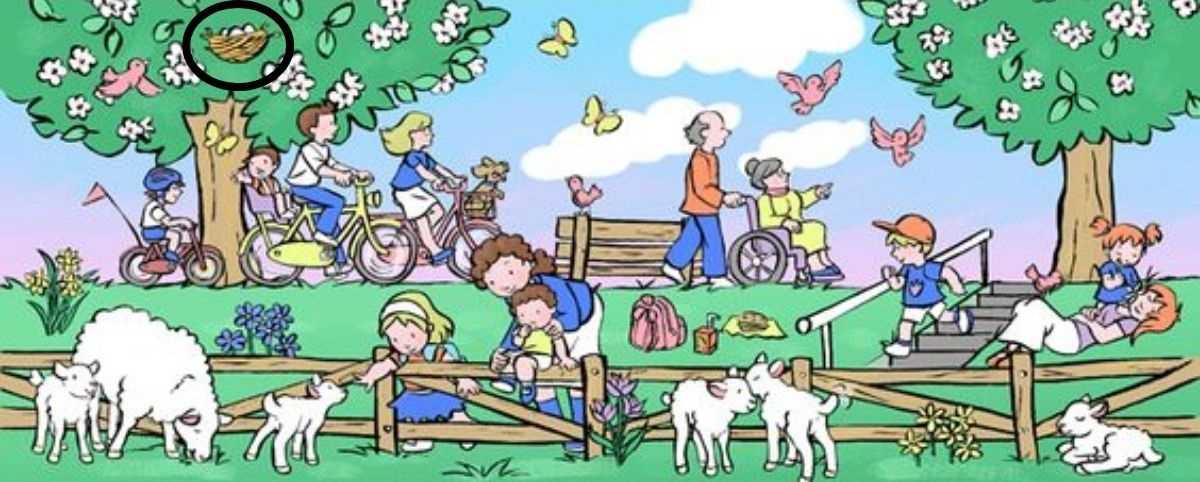 picture puzzles with answers