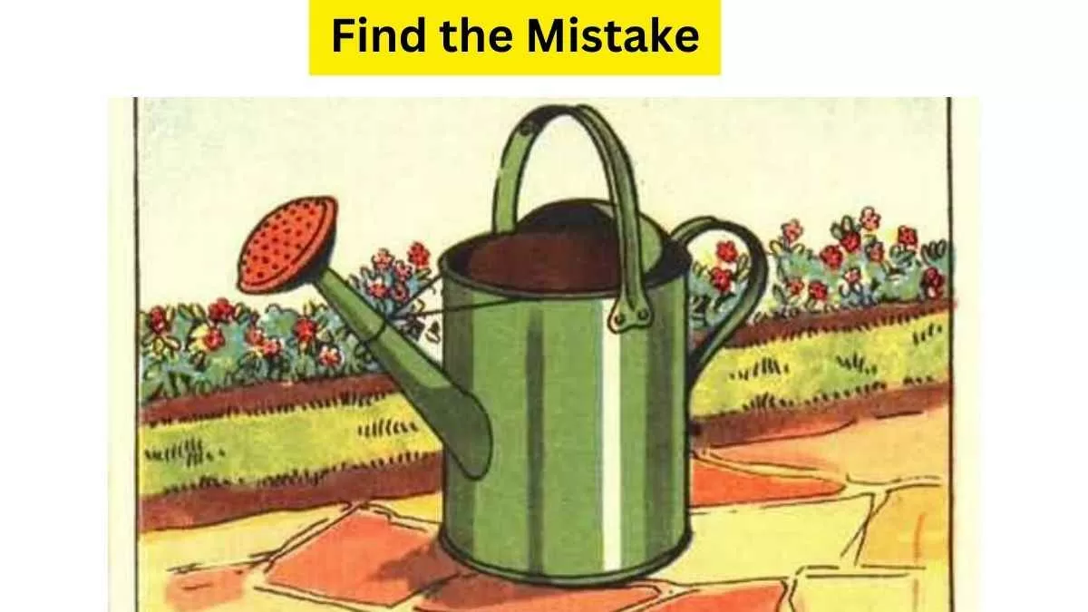 Find The Fault!