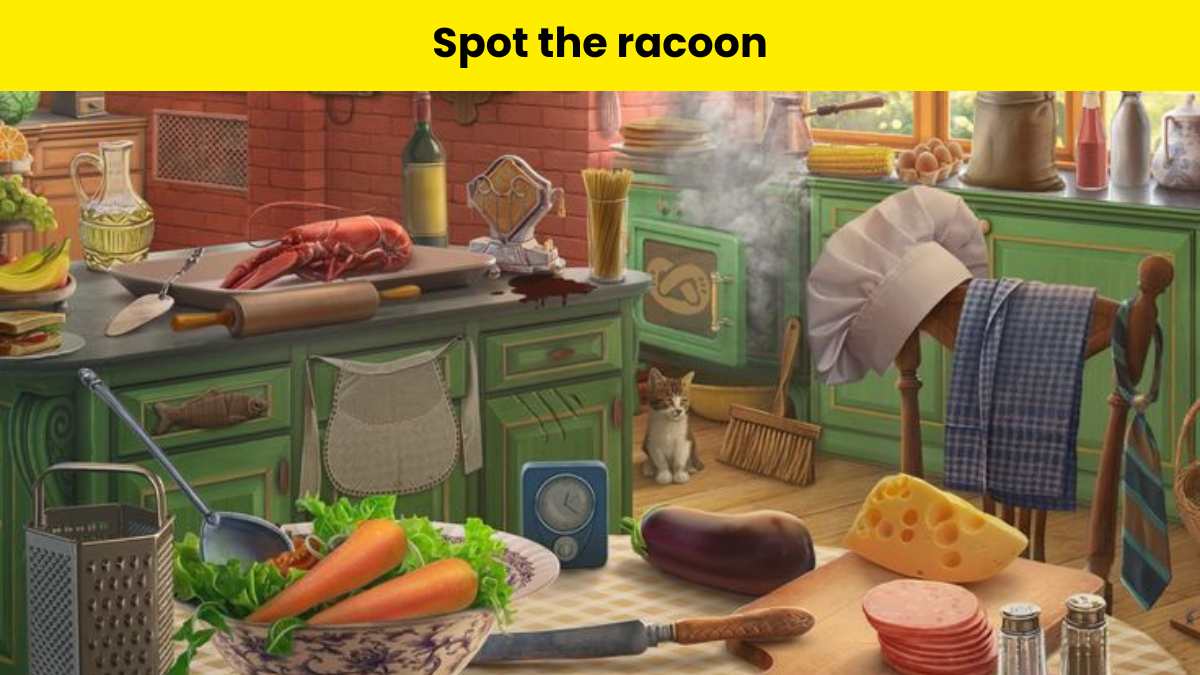 Only keen observers can spot the raccoon hidden in the kitchen within 7 seconds.