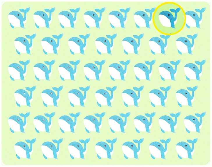 the odd whale is here