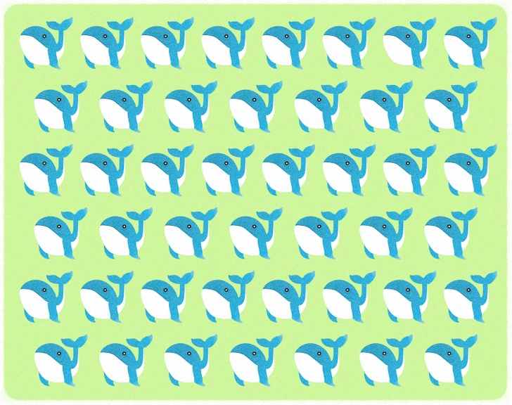 where is the odd whale in the picture