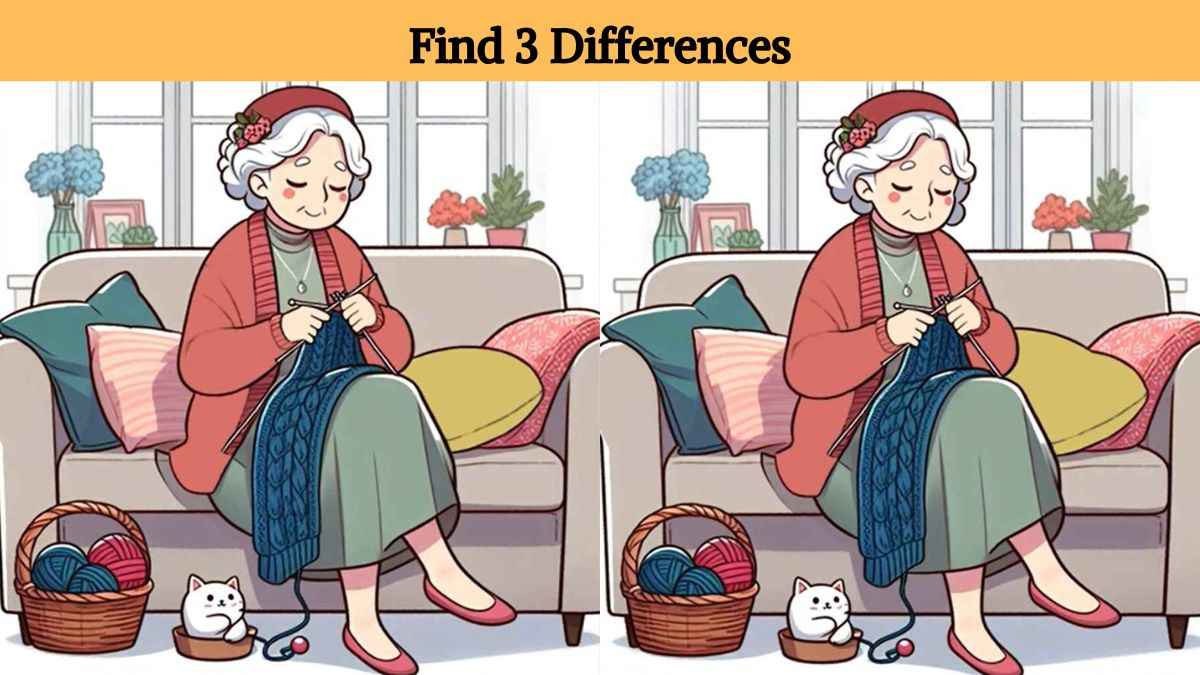 Find 3 differences between the grandmother knitting sweater pictures in 15 seconds!