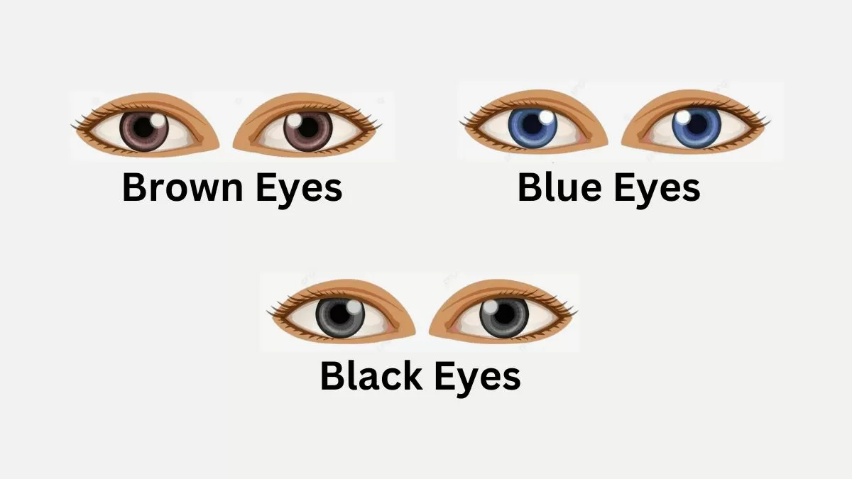 Personality Test Your Eye Color Reveals These Personality Traits