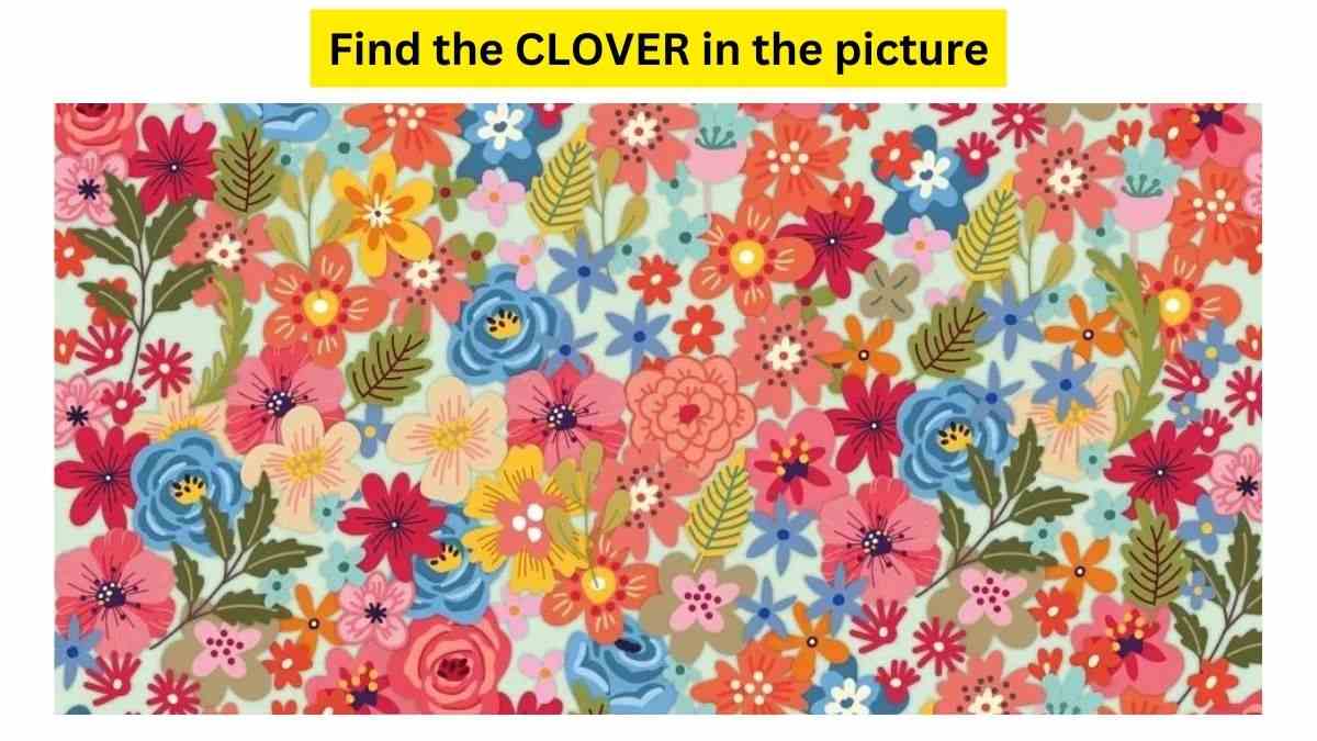 Only 5% of Genius Can Find The Clover Hidden In The Flower Bed Under 9 ...