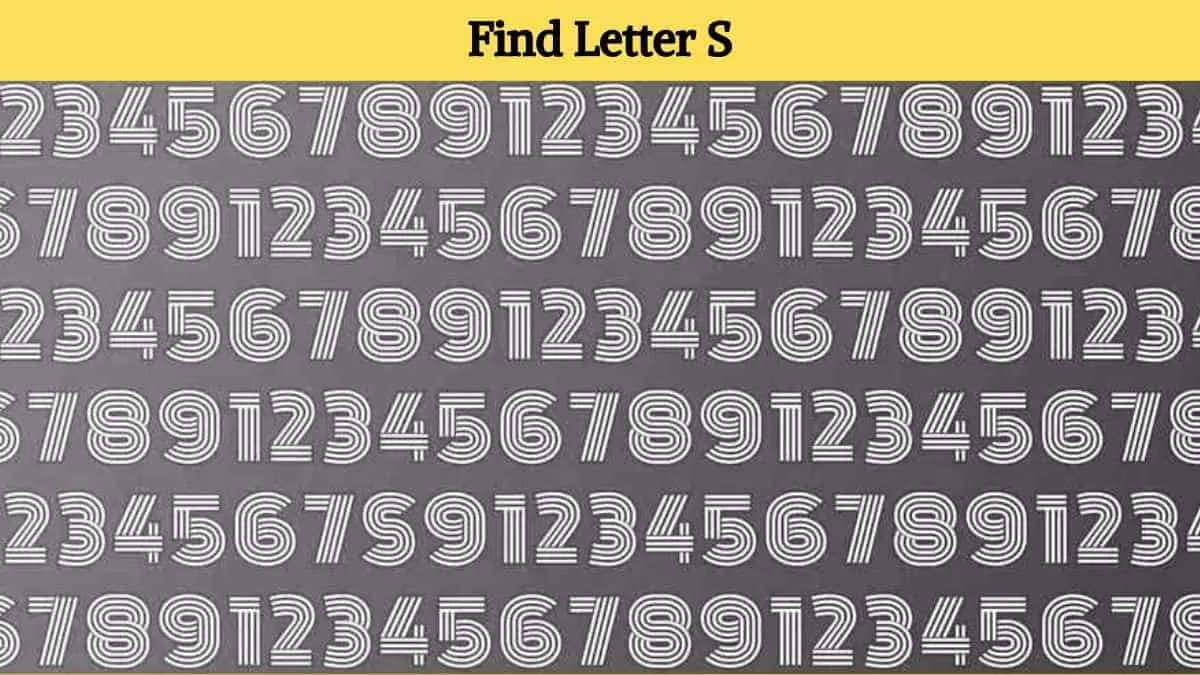 Find the letter s