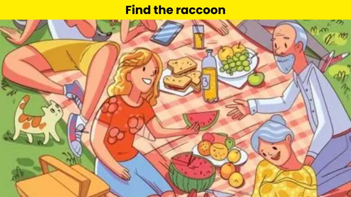 You have 20/20 vision if you can find the raccoon hiding in the picnic picture within 6 seconds.