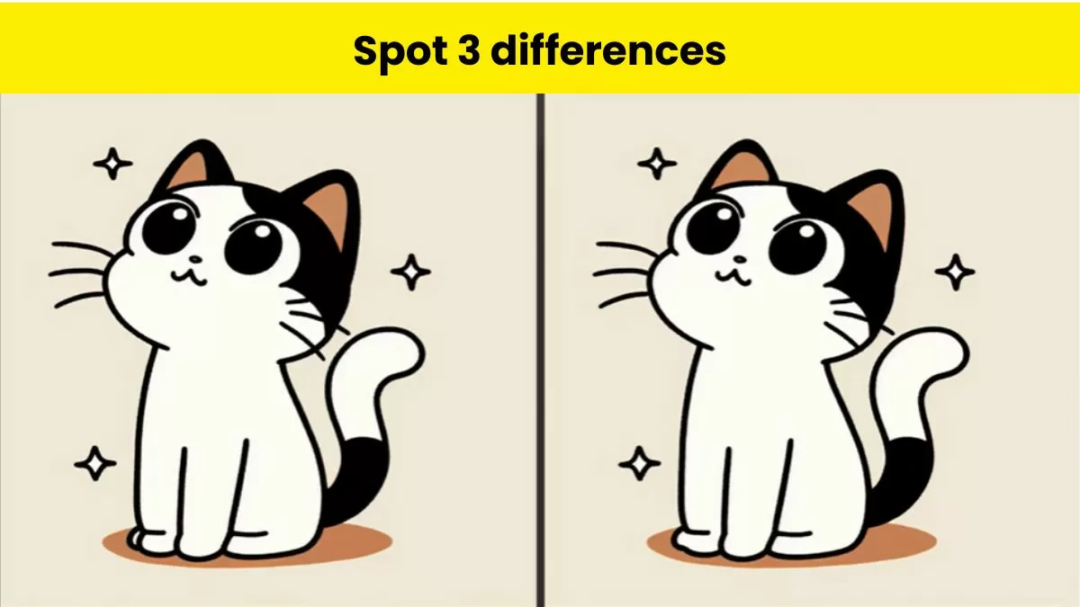 Spot 3 differences in 15 seconds