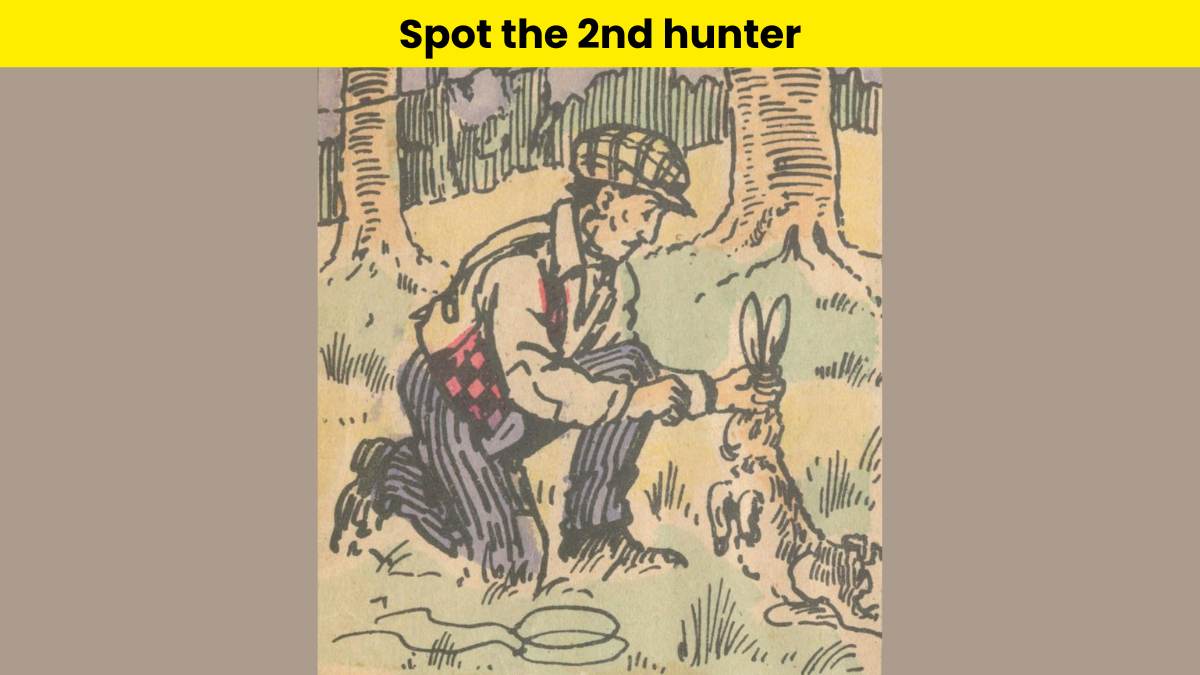 You have extraordinary eyes if you can spot the second hunter in the forest in 8 seconds.