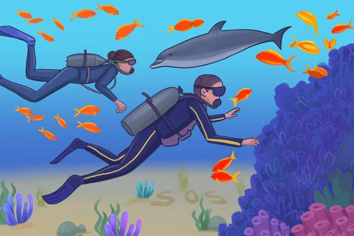 where are the mistakes in the picture