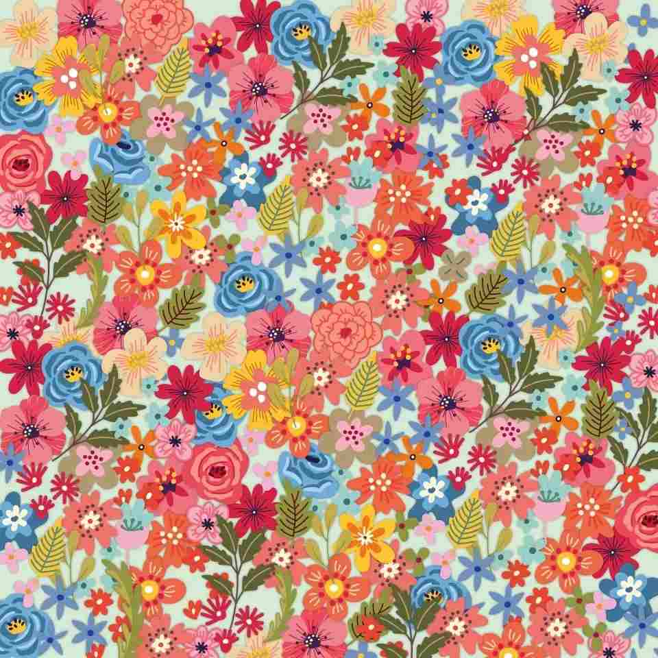 where is the clover in picture