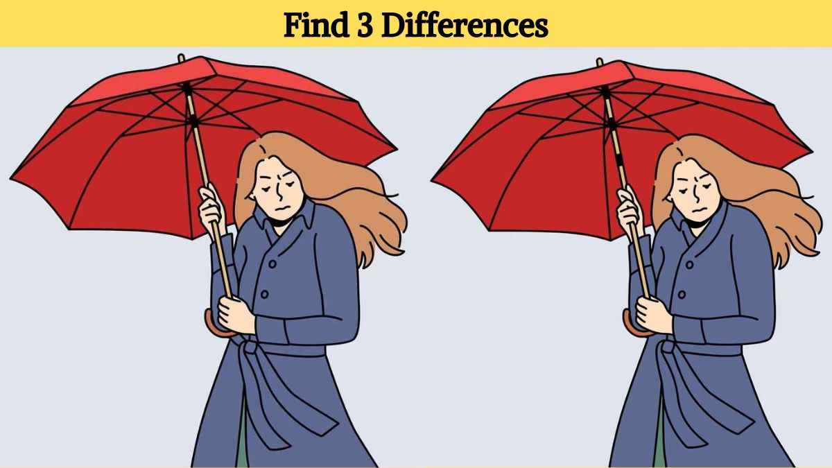Find 3 differences between the girl with umbrella pictures in 17 seconds!