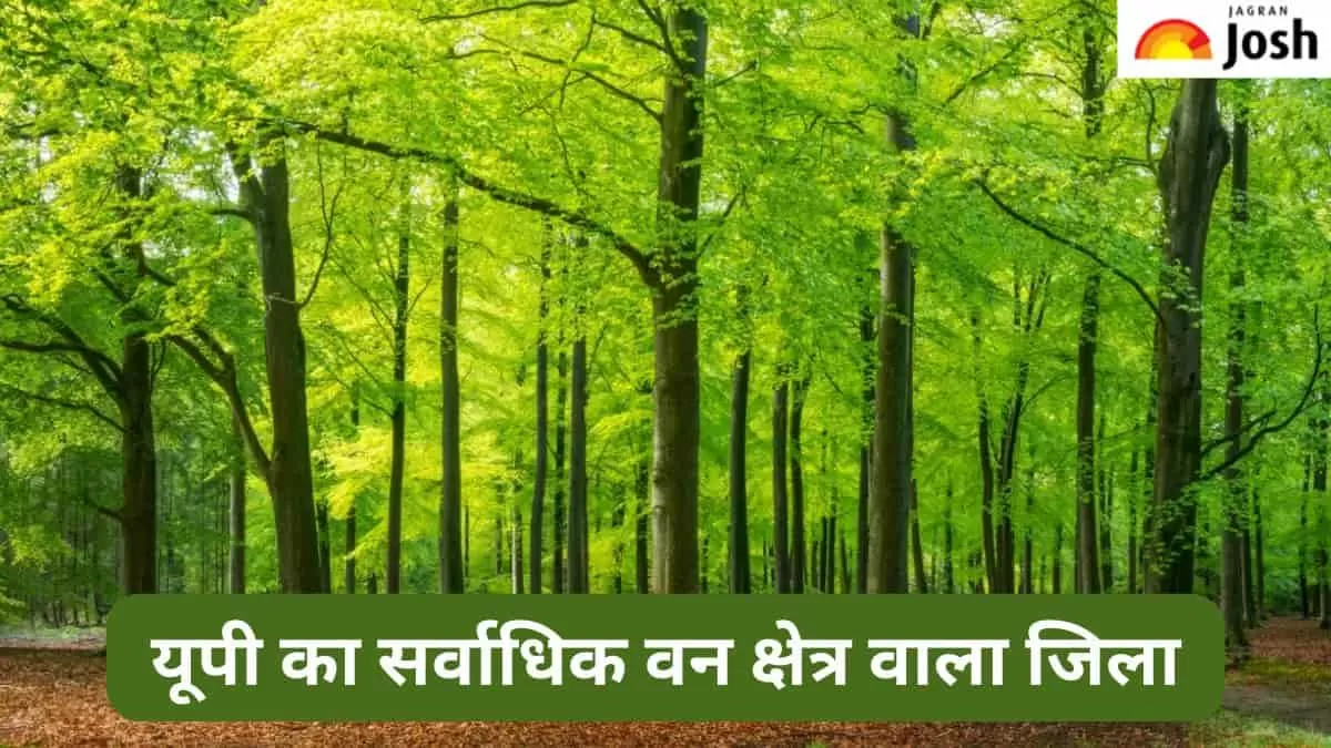 यूपी में सर्वाधिक वन क्षेत्र वाला जिला
