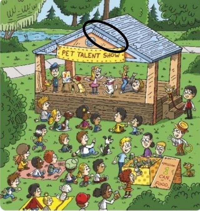 picture puzzles with answers