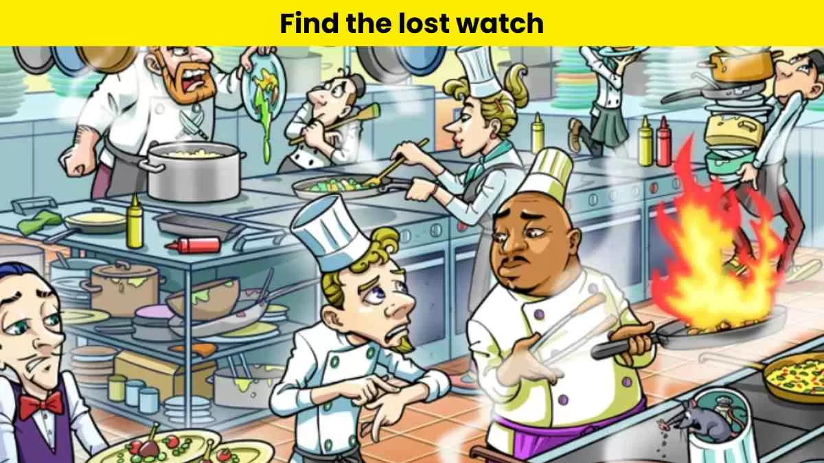 Can you find the lost watch?                     