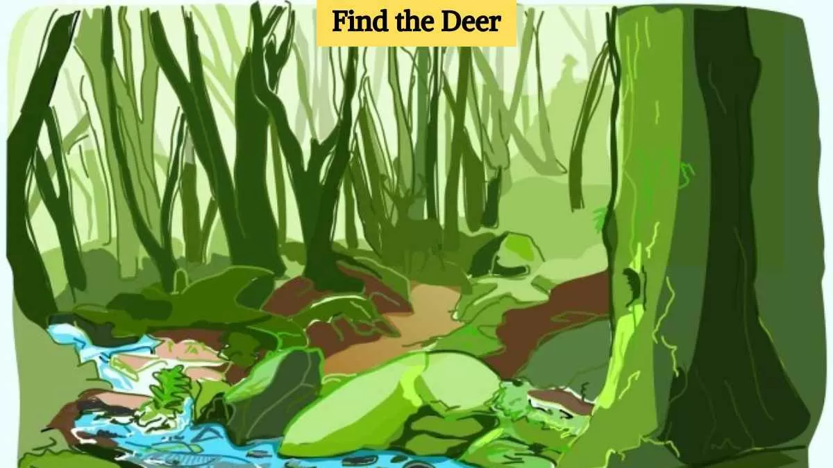 Find the deer 