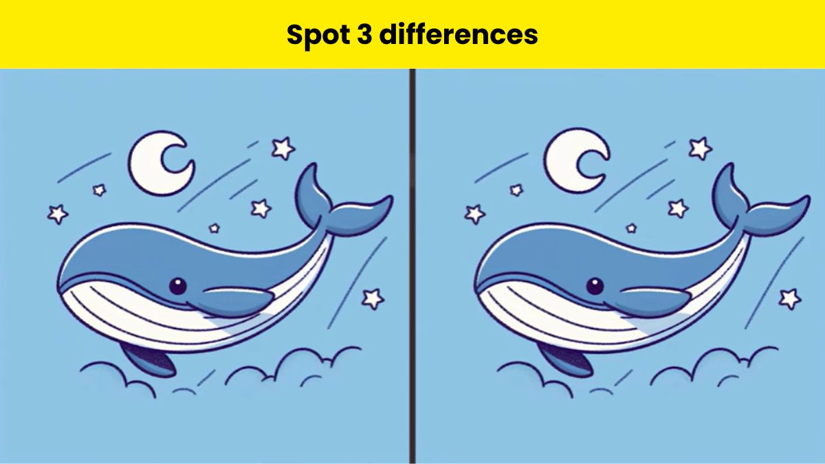 Spot 3 differences in the whale pictures within 9 seconds. 
