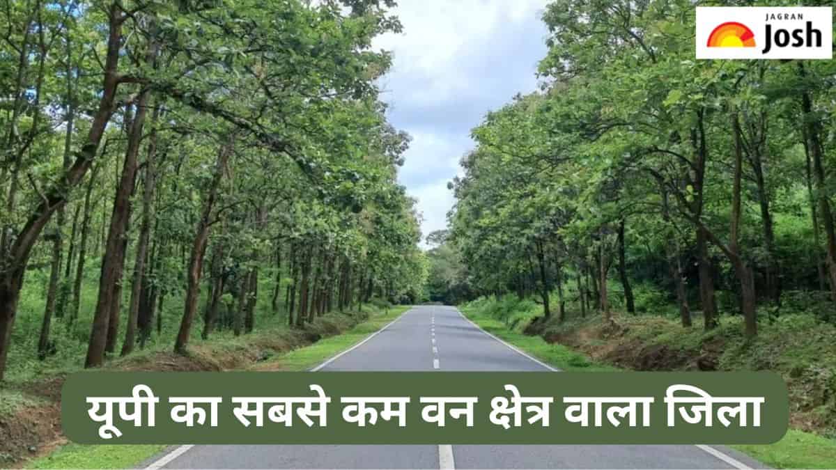 उत्तर प्रदेश का सबसे कम वन क्षेत्र वाला जिला कौन-सा है, जानें 