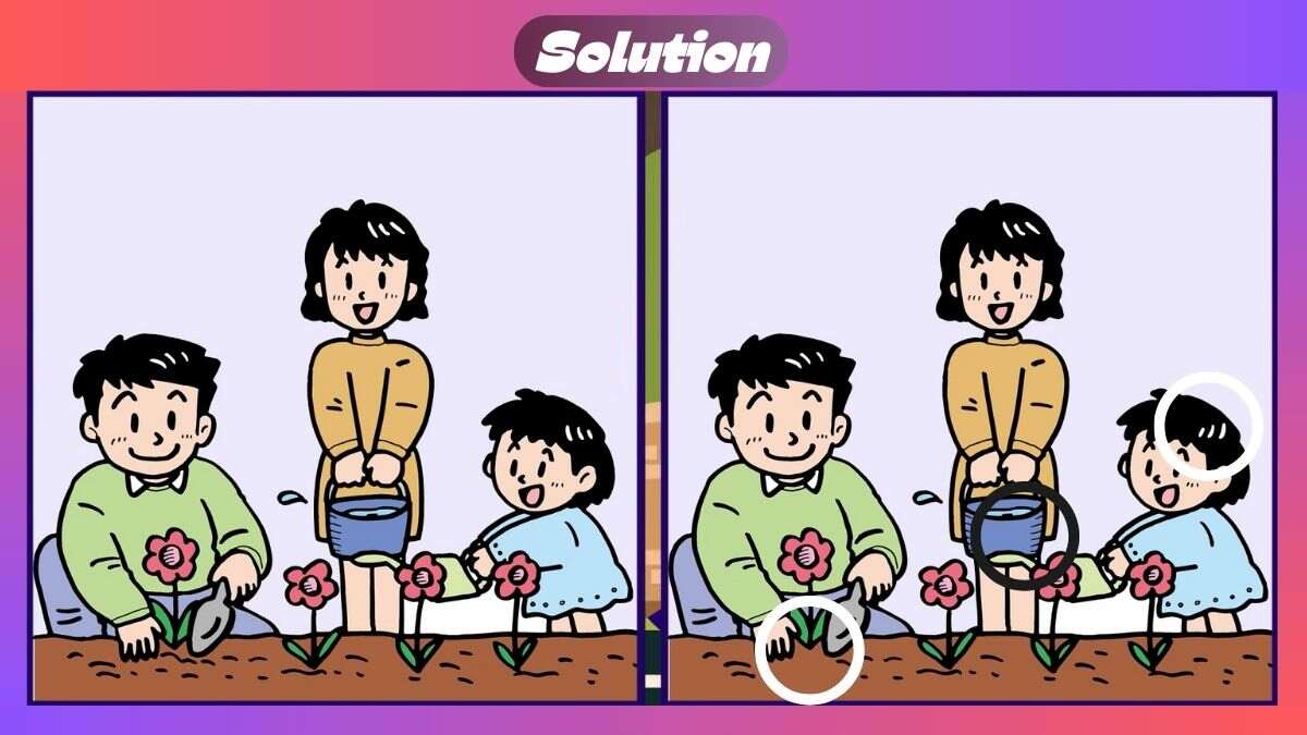 Find 3 Differences In 30 Seconds In Family Gardening Scene