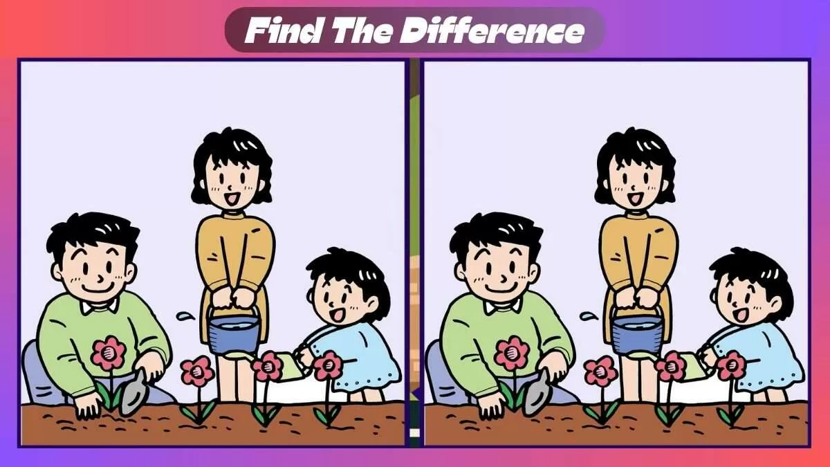 Find 3 Differences In 30 Seconds In Family Gardening Scene
